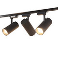 Track Light Black