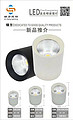 Jinfang Led high light mounted down lamp