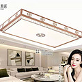 Aluminum alloy decorative hanging ceiling light pendant lamp LED linear light