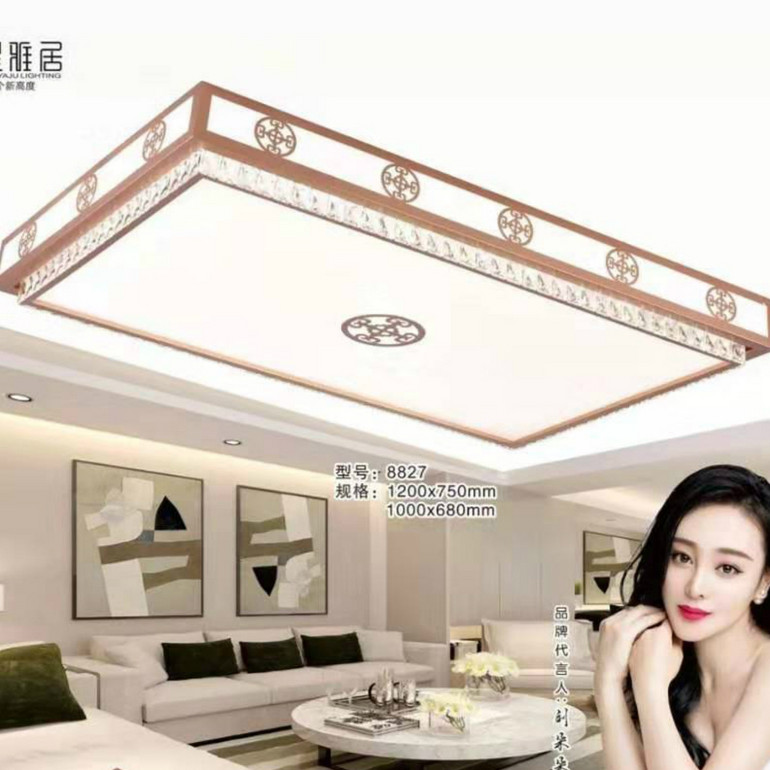 Aluminum alloy decorative hanging ceiling light pendant lamp LED linear light