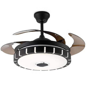 Modern creative living room dining room indoor mute remote control Fan Chandelier