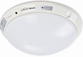 E5W302A emergency light