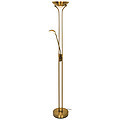 Floor Lamp F17(LED)AB