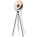 Floor Lamp F16019