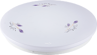 laiya,Ceiling light,simple,living room.