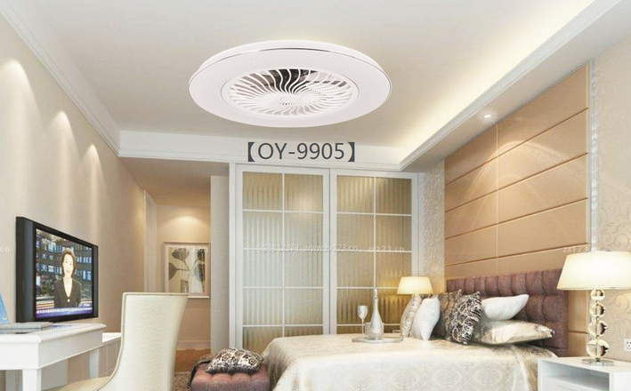 Modern Fan Lamp OY-9905