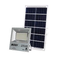 Solar floodlight,biaosheng,simple,yard