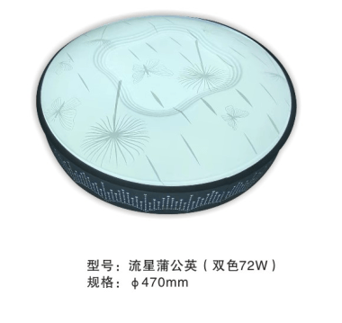 xiongmeng,simple,Meteor dandelion72W,ceiling lamp