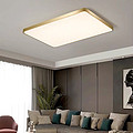 zengliang,simple,champagne gold,ceiling lamp,living room