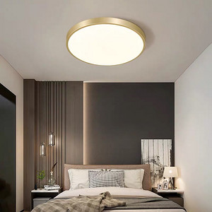 zengliang,simple,champagne gold,ceiling lamp,circular