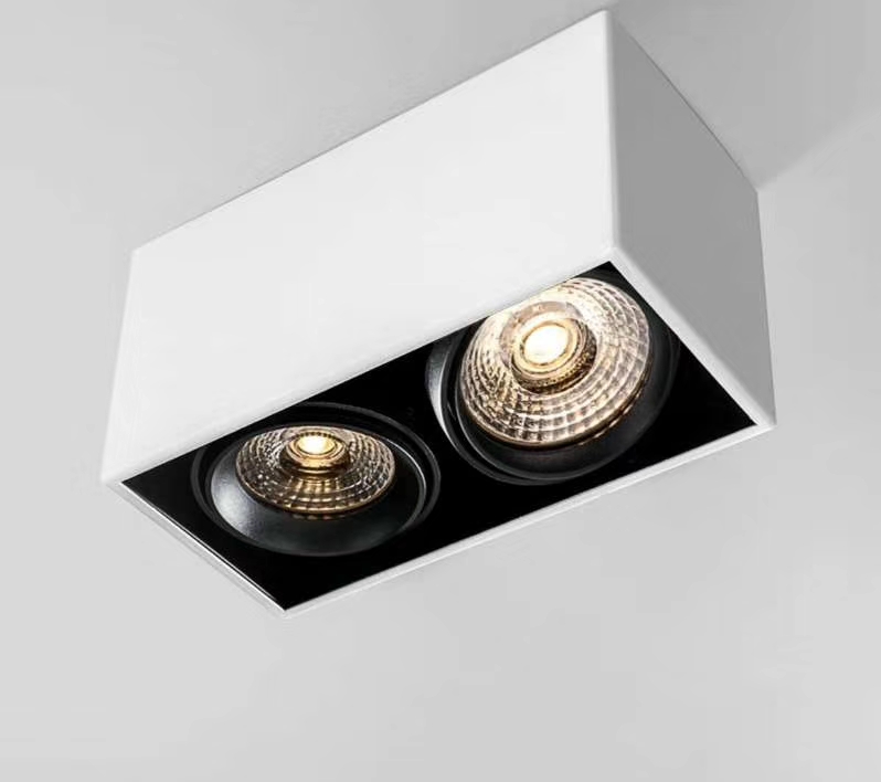 songning,down lamp,living room,white