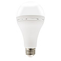 LED bulb