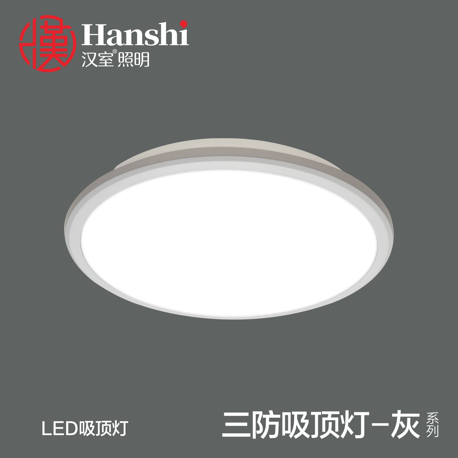 LED grey ceiling lamp