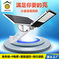 solar street lamp