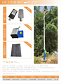 Solar street lamp - economy style