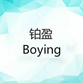 Guangxi Yulin Boying Electric Technology Co.,Ltd.