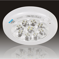 Ceiling Lamp,light-Control