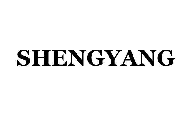 Zhongshan Shengyang Lighting Appliance Co.,Ltd.