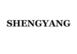 Zhongshan Shengyang Lighting Appliance Co.,Ltd.