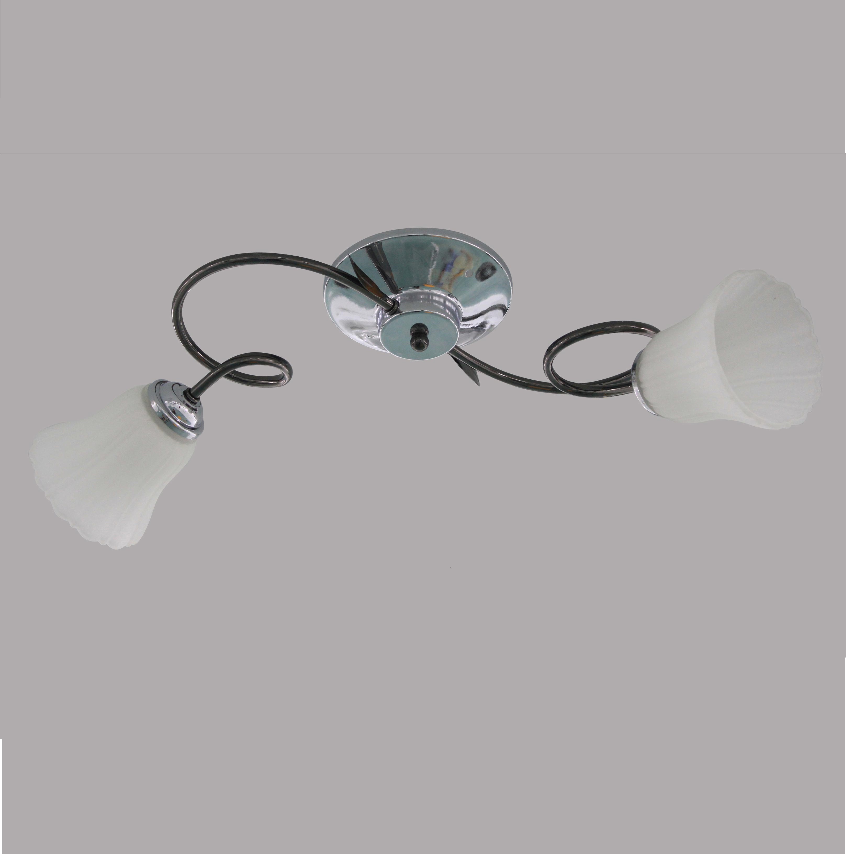 Ceiling Lamp,Double Head Rotation,Chandelier