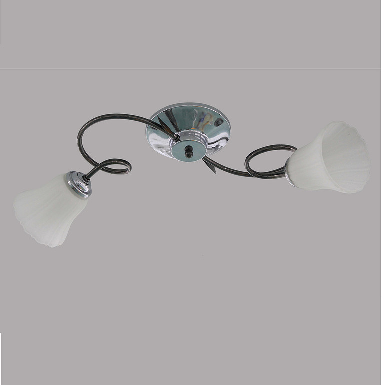 Ceiling Lamp,Double Head Rotation,Chandelier
