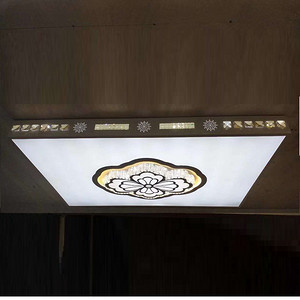 LD8354 metal acrylic ceiling lamp