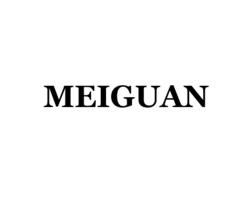 Shenzhen MeiGuan Lighting Co.,Ltd.