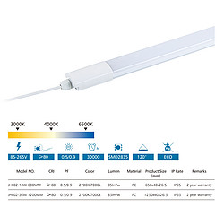 guofan,Simple white light tube