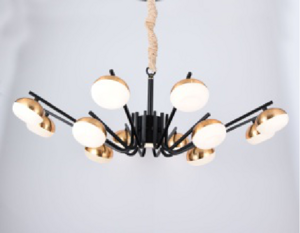 Haofeng, Tieyi acrylic two-color converter chandelier