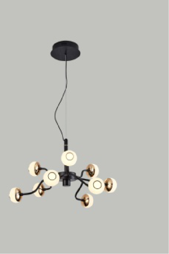 Haofeng, Tieyi acrylic two-color converter chandelier