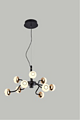 Haofeng, Tieyi acrylic two-color converter chandelier