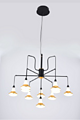 Haofeng, Tieyi acrylic two-color converter chandelier