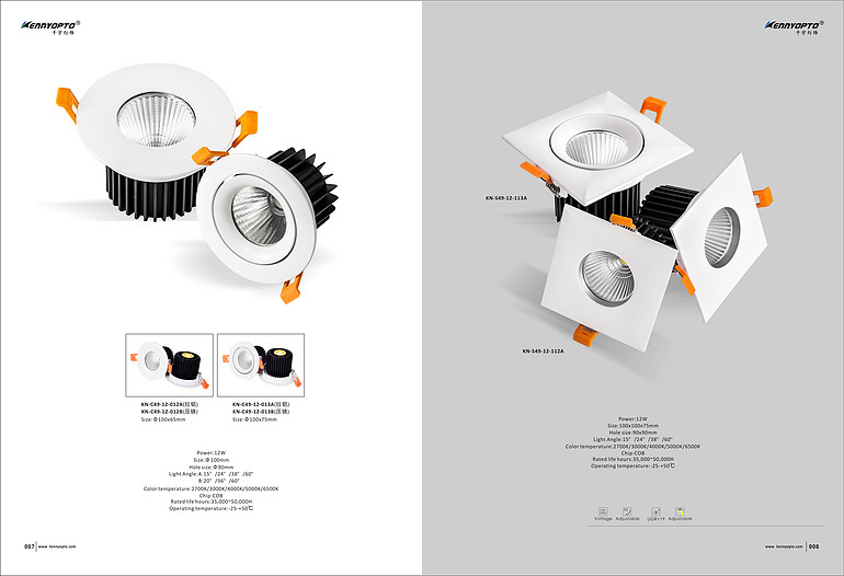 Qianyu,Simple embedded COB single-head spotlights