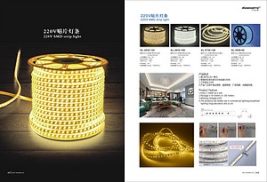 Qianyu,220V patch LED strip