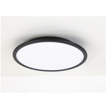 NEON C20003-35W BK ceiling lamp