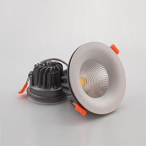 LED,double,color,Down Lamp