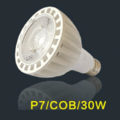 30W Simple Energy-saving COB PAR Bulb P7