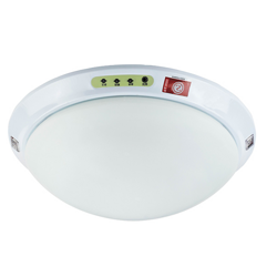 Intelligent light,induction garage lamp,Ceiling Lamp,white