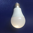 LED Bulb,LED Lighting & Technology,A60,7W