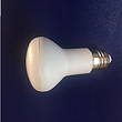 LED Bulb,LED Lighting & Technology,R50,5W