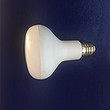 LED Bulb,LED Lighting & Technology,R63,8W