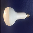 LED Bulb,LED Lighting & Technology,R80,12W