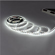 LED Strip Light,simple,white light,OUTDOOR,high pressure,LED,soft