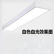 LED hanging light