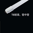 LED T8 (glass tube)