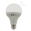 LED Acoustooptic Control Bulb