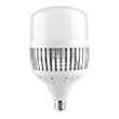 LED Scale Bulb