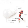 LED Bulb,LED Lighting & Technology,Energy Conservation,3W,5W,7W,9W,12W