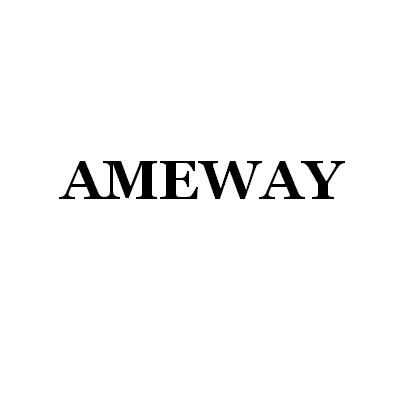 SHENZHEN AMEWAY ELECTRONIC CO.,LTD.