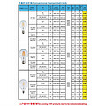 Conventional Filament Light Bulb